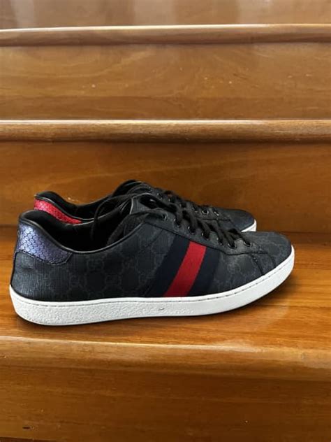 gucci sneakers gumtree|Gucci sneakers prices for man.